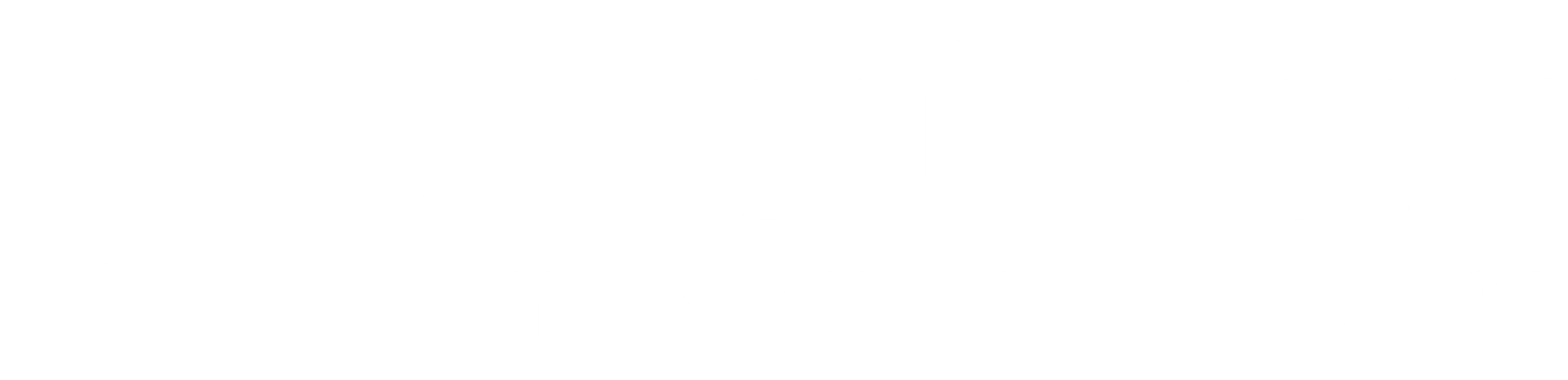 FinPoint logo reverse FinPoint Insurance Logo