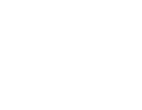 FinPoint logo reverse (2) FPI Icon