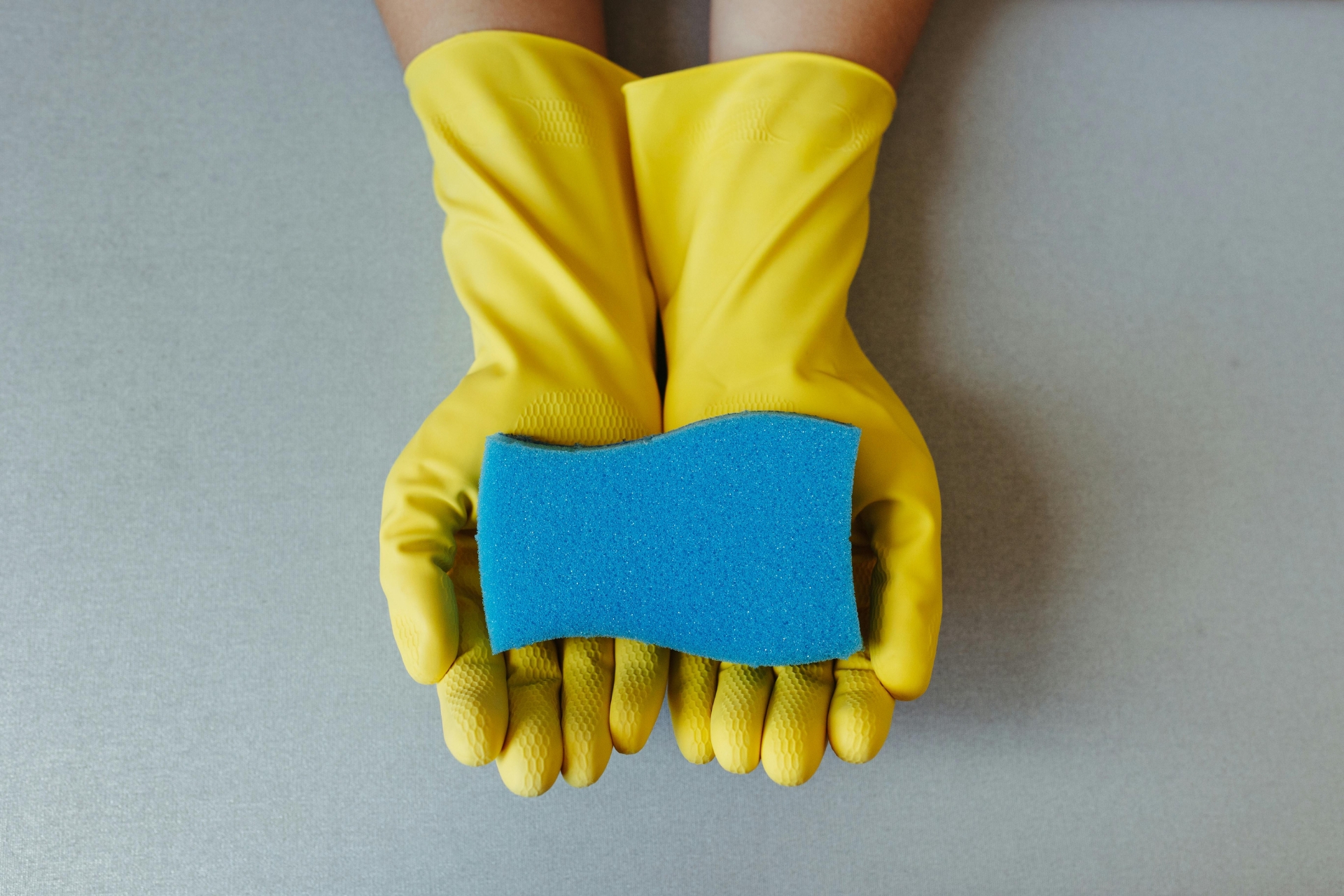 Yellow rubber cleaning gloves holding a blue kitchen sponge on a gray background