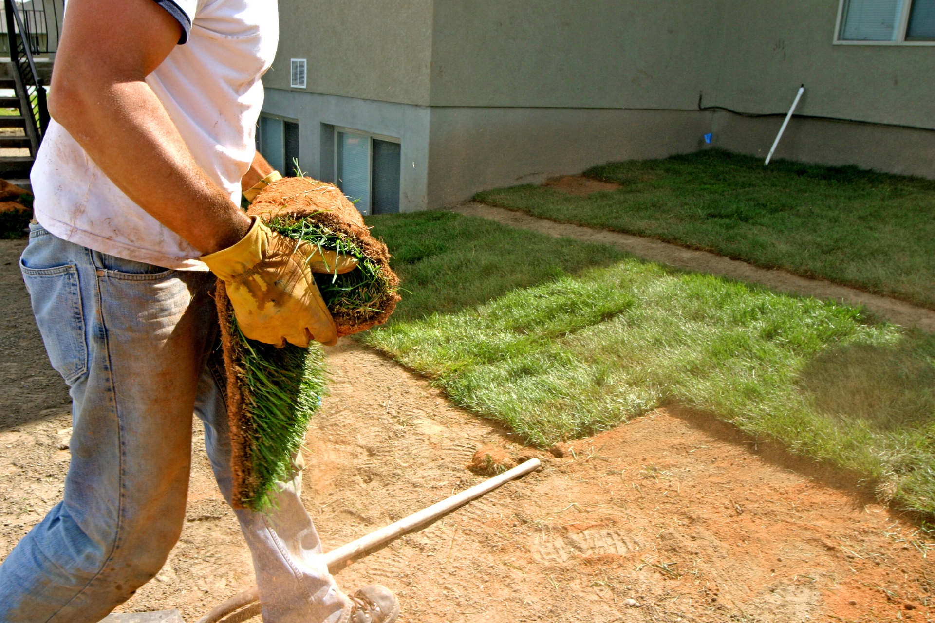 Landscaper wearing gloves carrying a roll of fresh sod while installing new grass in a residential backyard near a home foundation