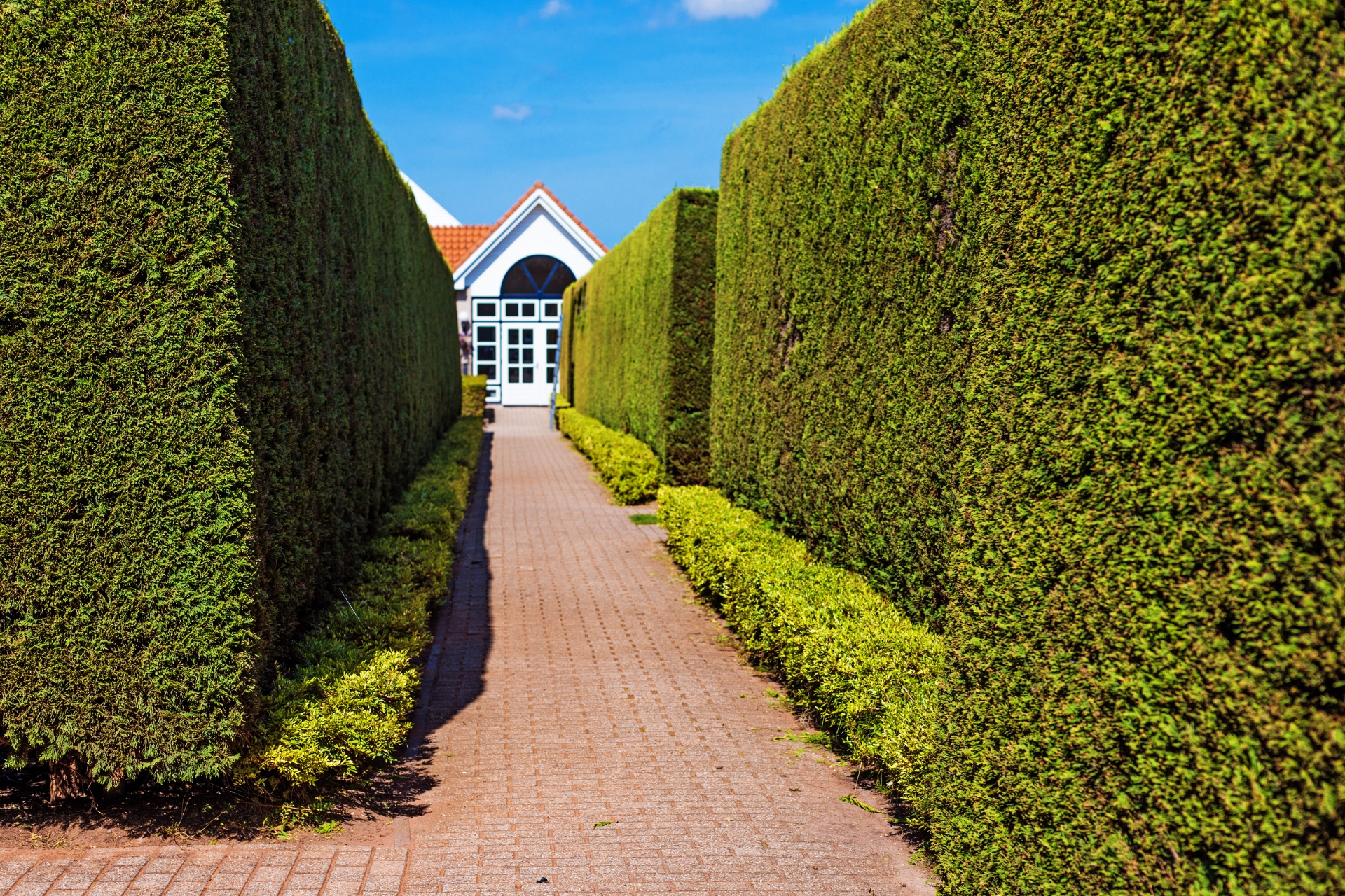 landscaped walkway at private club with manicured hedges leading to clubhouse entrance