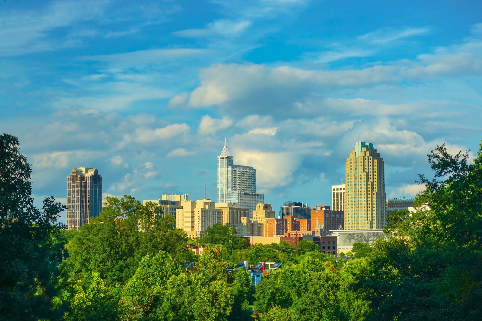 city skyline with commercial buildings and urban business district landscape